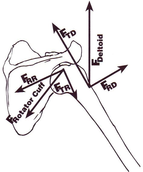 Operative Versus Non Operative Treatment For The Management Of Full