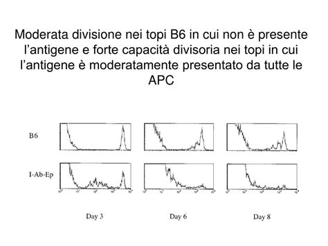 Ppt Cellule T Naive E Cellule T Della Memoria Sopravvivenza Negli