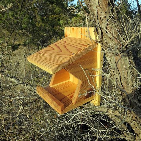 Robin Mourning Dove Swallow Nest Box Reclaimed Cedar Etsy