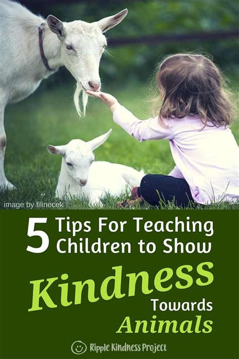 5 Tips For Teaching Children To Show Kindness Towards Animals