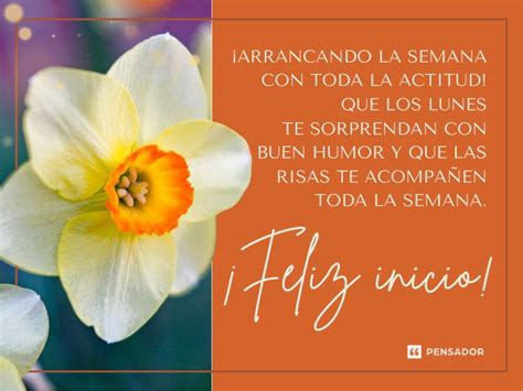 Feliz Inicio De Semana Frases Bonitas Parati Amor Dios Ganhe