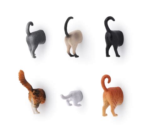 Kikkerland Cat Butt Magnet Set Set Of Walmart