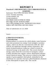 Bio Lab Report 3 Docx REPORT 3 Practical 3 MICROSCOPY CELL