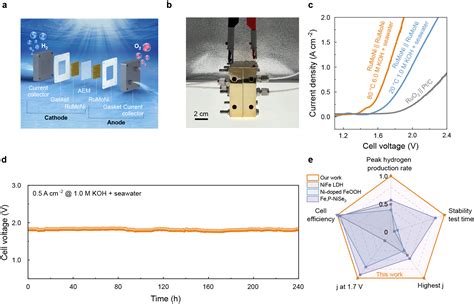 Corrosion Resistant Rumoni Catalyst For Efficient And Long Lasting