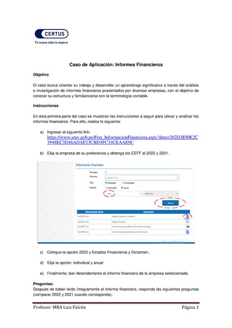 Caso Informes Financieros Profesor Mba Luis Falc N P Gina