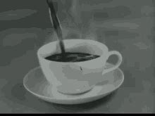 pouring coffee gifs tenor