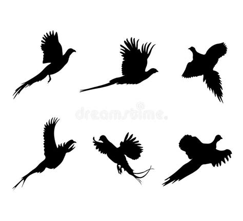 Pheasant Flying Silhouette