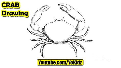 How To Draw A Crab Youtube