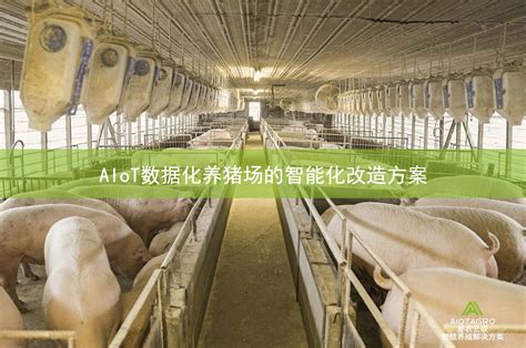 最新aiot数据化养猪场的智能化改造方案aiotagro 爱农云联 致力于高效、安全的食品生产