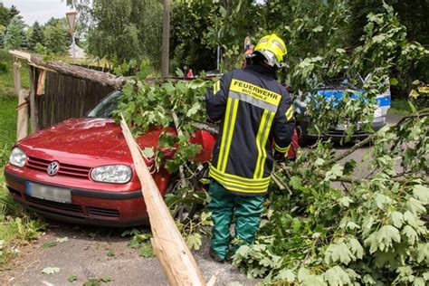 Unfall In Buchholz Autofahrer Entwurzelt Baum Freie Presse Annaberg