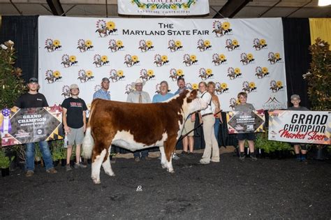 Maryland State Fair 4 H Ffa Youth Livestock Sale Morning Ag Clips