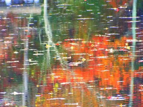 Abstract autumn pond reflection Digital Art by Rebecca Malo