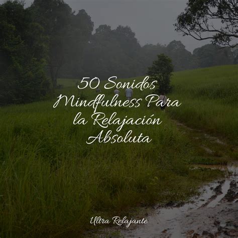 Sonidos Mindfulness Para La Relajaci N Absoluta Album By