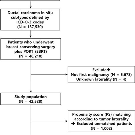 Flowchart Of Patient Selection Port Postoperative Radiotherapy Ebrt