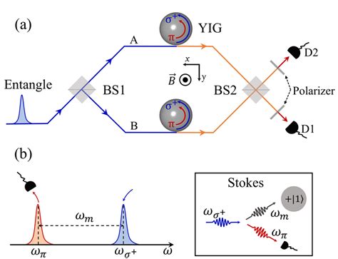 A Sketch Of The System Used For Generating The Magnon Entanglement