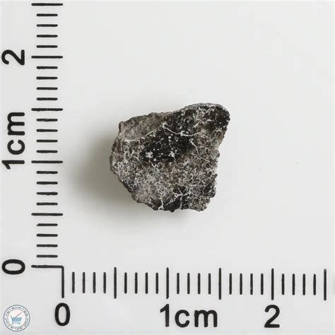 Nwa 12269 Martian Meteorite 12269 312 The Meteorite Exchange Inc