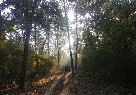 All About Kanha Kisli National Park | Tiger Reserve |A Two Day & one ...