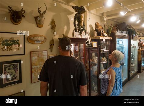 International Cryptozoology Museum Portland Maine Stock Photo Alamy