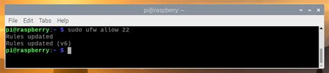 Raspberry Pi Firewall How To Install And Manage It By Using UFW