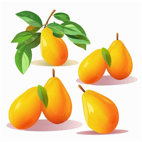 Premium Vector Vector Illustration Of A Ripe Mango On A White Background