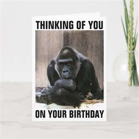 GORILLA HAPPY BIRTHDAY GREETING CARDS | Zazzle