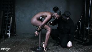 Amari Anne HD Porn Videos XCafe