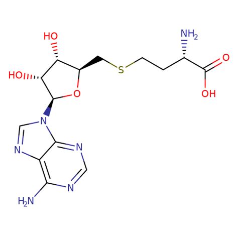 Na S Adenosyl L Homocysteine Dihydrate