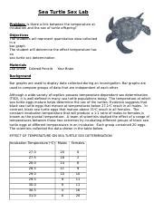 B2 LT3 Sea Turtle Sex Lab Docx Sea Turtle Sex Lab Problem Is There