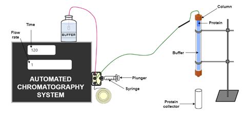 Protein Purification By Size Exclusion Chromatography Sec