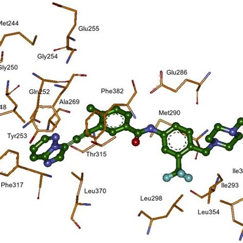 Structure Alignment Of Imatinib Bound Bcr Abl Kinase Pdb Id 1iep Download Scientific Diagram