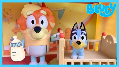 Bluey Bingo Baby And Mini Bluey UNCLE RAD Episode DISNEY JR BLUEY