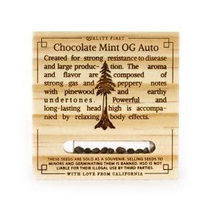 Chocolate Mint OG Buy HSO Cannabis Seeds