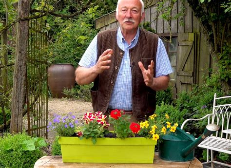 Comment planter des pétunias en jardinière Housekeeping Magazine