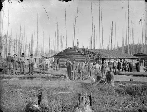 Logging Camp Photograph Wisconsin Historical Society