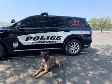 Colorado Springs Police Departments K9 Rocco Receives New Vest