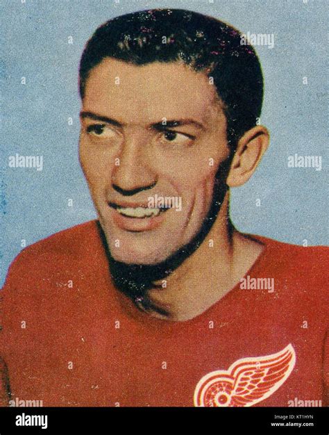 1957 Topps Al Arbour Stock Photo Alamy