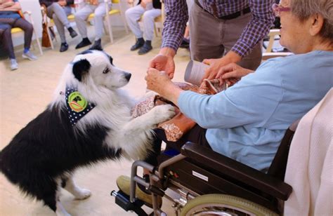 Senecura Pflegeheim Graz Lend Ist Auf Den Hund Gekommen Senecura