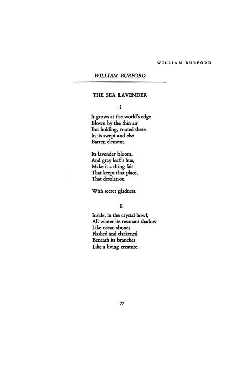 The Sea Lavender By William Burford Poetry Magazine