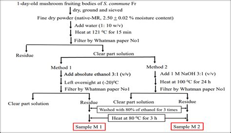 A Schematic Diagram Of The Extraction Process Of Polysaccharides By Download Scientific Diagram