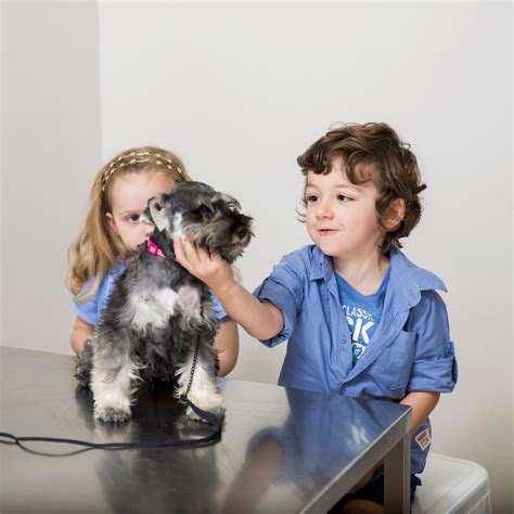 kids    pets vets  parker