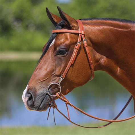 Schneiders® Browband Training Bridle With Quick Change Snaps Schneiders