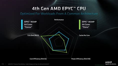 Amd Releases Epyc Siena Cpus Zen C For Edge Optimized Server