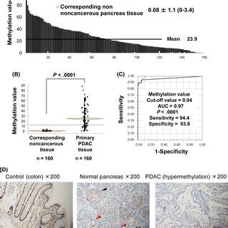 Methylation And Expression Profiles Of Cdo In Pancreatic Ductal