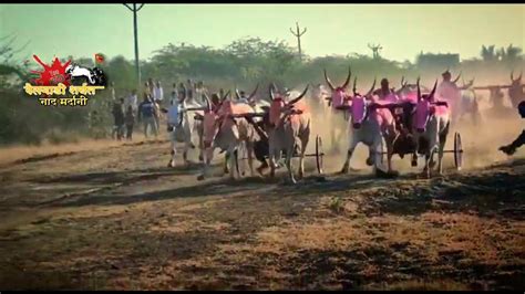 सराटी जनरल बैलगाडी शर्यत हेलीकॉप्टर बैज्या बॉक्सर बैज्या प्रथम क्रमांक