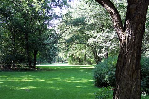 Green Oasis In The City Center Tiergarten Park In Berlin Germany