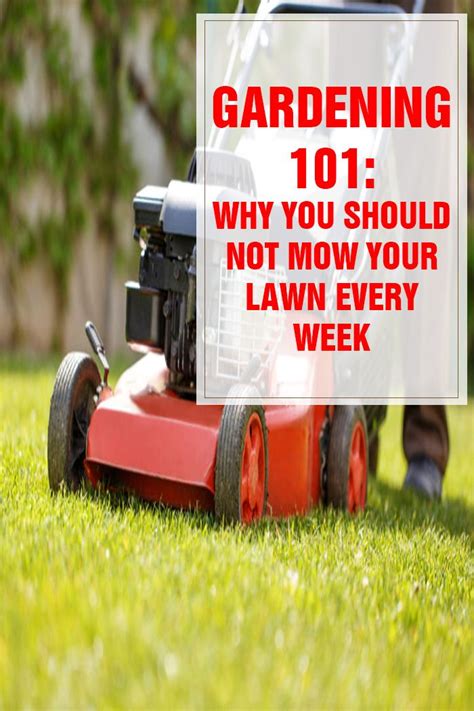 If You Re In The Habit Of Mowing Your Lawn At Least Once A Week You May Want To Consider Mowing