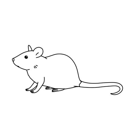 Sketch Of Realistic Laboratory Mouse Pet In Outline Style Vector