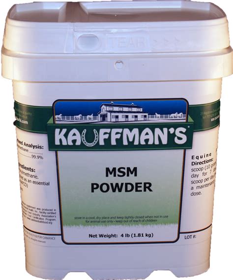 MSM Powder | Source of Dietary Sulfur for Joints