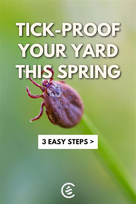 How To Tick Proof Your Yard In 3 Steps Cedarcide Get Rid Of Ticks