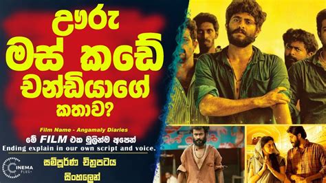 ඌරු මස් කඩේ චන්ඩියාගේ කතාව😮sinhala Film Reviewsinhala Film Review Newsinha Movie Recap Youtube